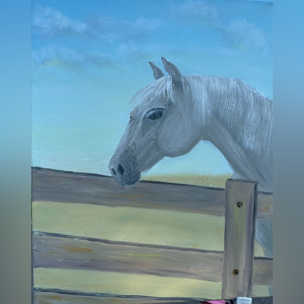 Majestic White Horse Canvas Art Painting